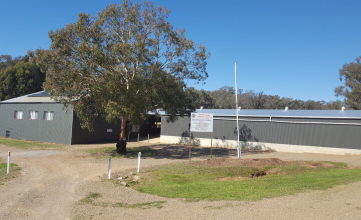 wagga